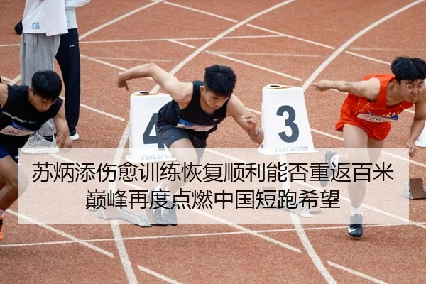 苏炳添伤愈训练恢复顺利能否重返百米巅峰再度点燃中国短跑希望